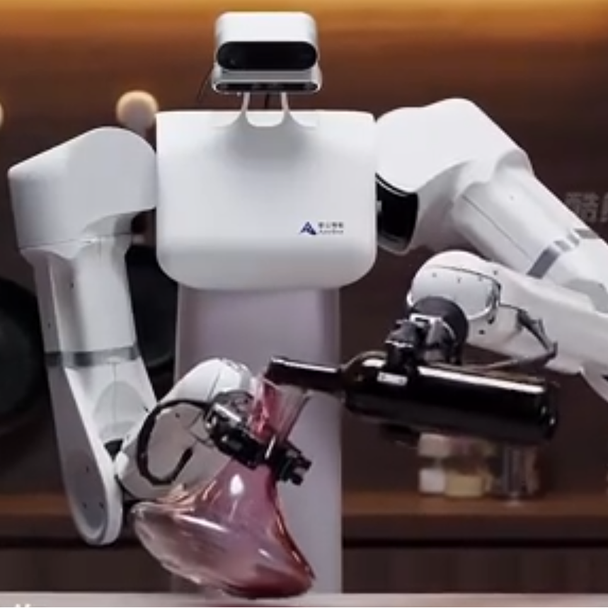 SO-ARM100